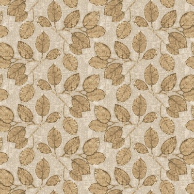 RM Coco ColorWorks DL161 Sandstone