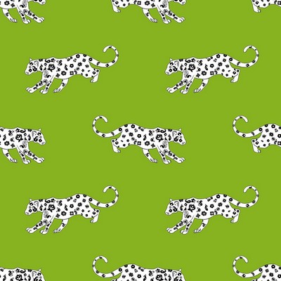 RM Coco Cool Cat Kiwi