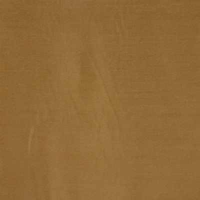 RM Coco Destin Olive