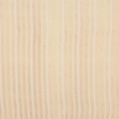 RM Coco Dickens SHELL