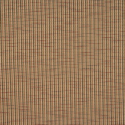 RM Coco Dundee Rye Grass