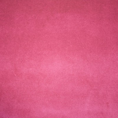 RM Coco Deluxe Cotton Velvet Begonia