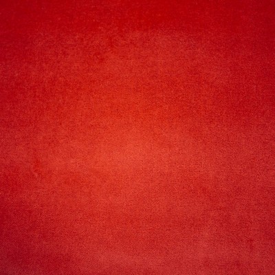 RM Coco Deluxe Cotton Velvet Peony