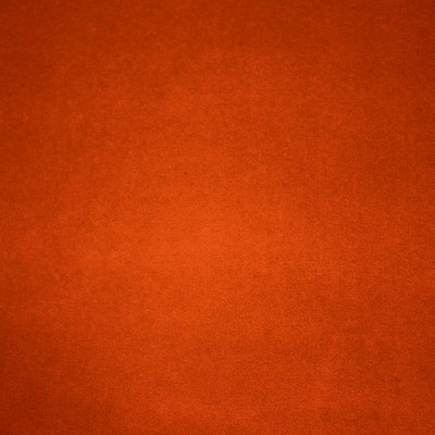 RM Coco Deluxe Cotton Velvet Shrimp