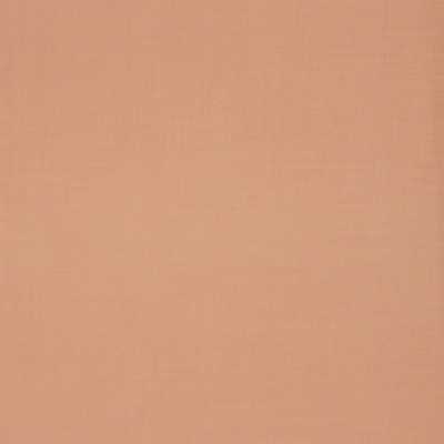 RM Coco Empoli Harvest