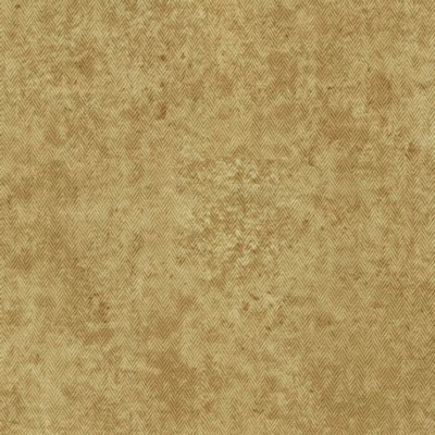 RM Coco Freeze Frame Sungold