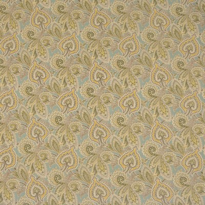 RM Coco Frog GLACIER