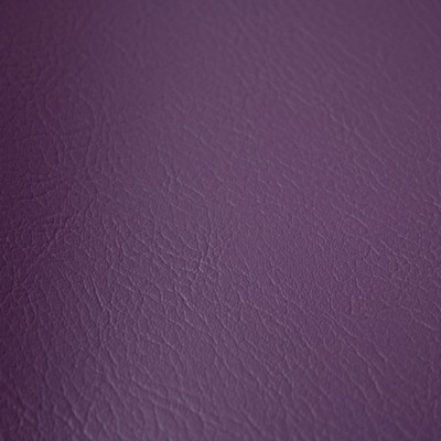 RM Coco Fortitude Performance Vinyl Concord