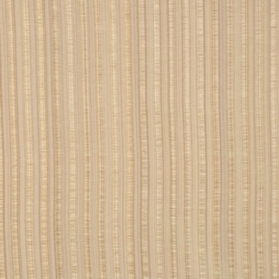 RM Coco Gandhi Gold Rush