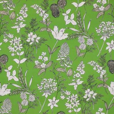 RM Coco Garden View Fern