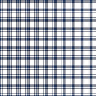 RM Coco Genevieve Check Cornflower