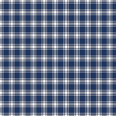 RM Coco Genevieve Check Cobalt