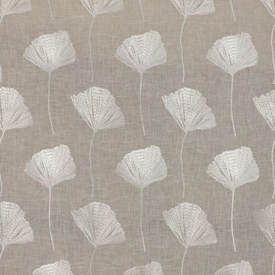 RM Coco Gingko Oyster