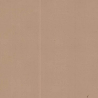 RM Coco High Hopes Cocoa