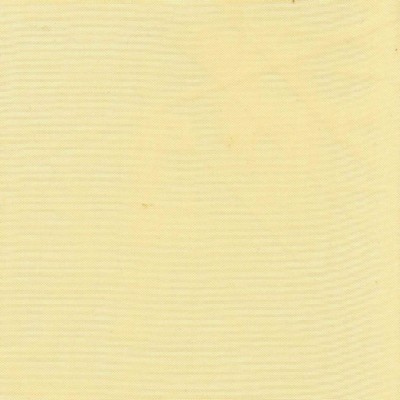 RM Coco High Hopes Cashew