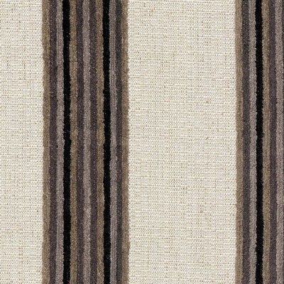 RM Coco Halston Stripe  Crypton Shadow