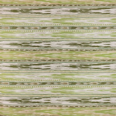 Hamadi Greenery RM Coco Hamadi Greenery