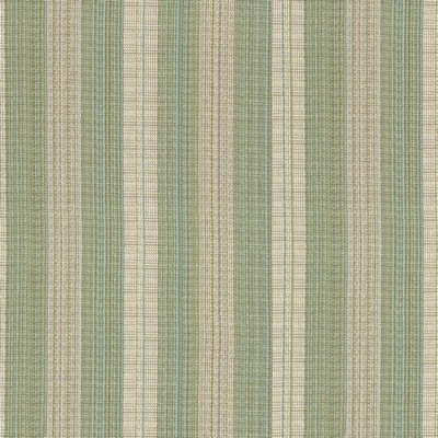 RM Coco Hayden Stripe  Crypton Cypress