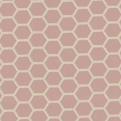 RM Coco Honey Do Cameo