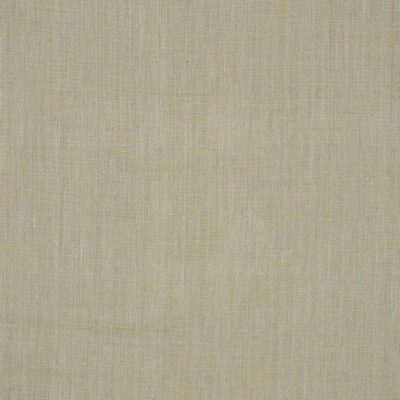 RM Coco Insight MOSS