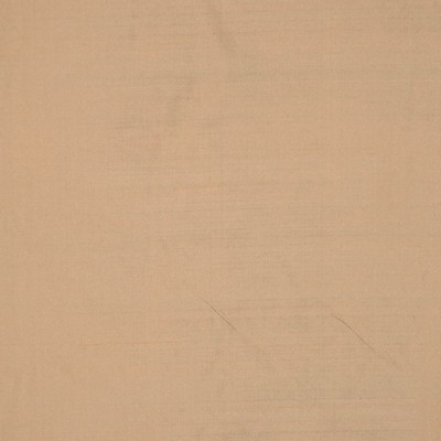 RM Coco INTUITION BRUSH