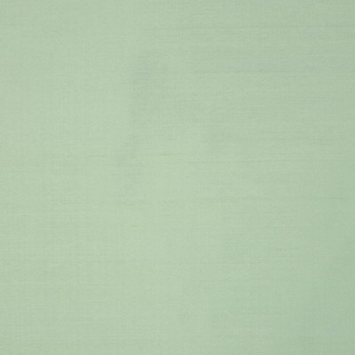 RM Coco INTUITION FERN