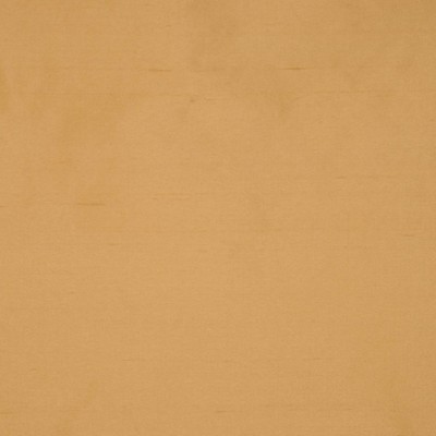 RM Coco INTUITION HARVEST