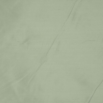 RM Coco INTUITION IVY