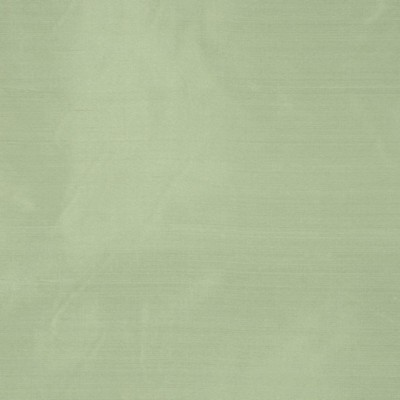 RM Coco INTUITION LIME