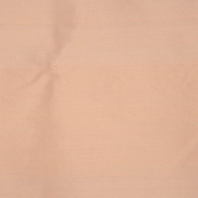 RM Coco INTUITION SHRIMP