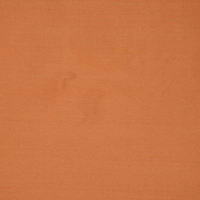 RM Coco INTUITION ZINNIA