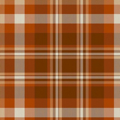 RM Coco Ipswich Plaid Copper