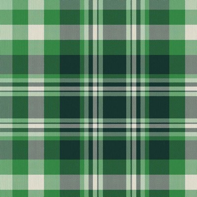 RM Coco Ipswich Plaid Emerald