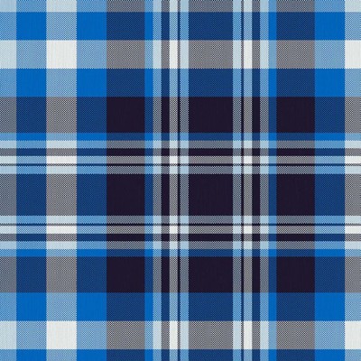 RM Coco Ipswich Plaid Sapphire