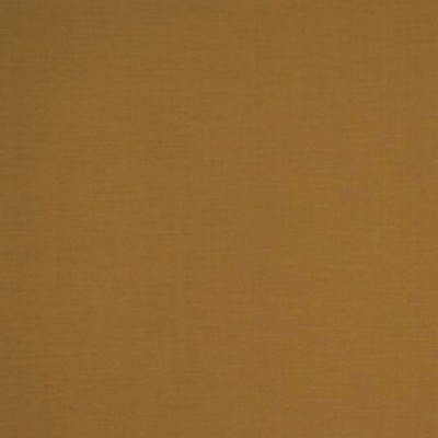 RM Coco Jaguar AVOCADO