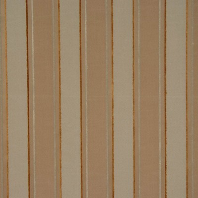 RM Coco Jaws Dragonfly