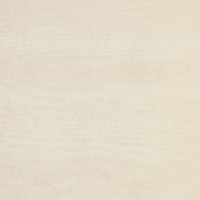 RM Coco Kura CHAMPAGNE