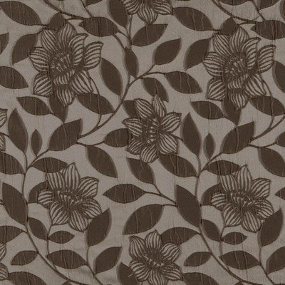 RM Coco Kauri Mustang