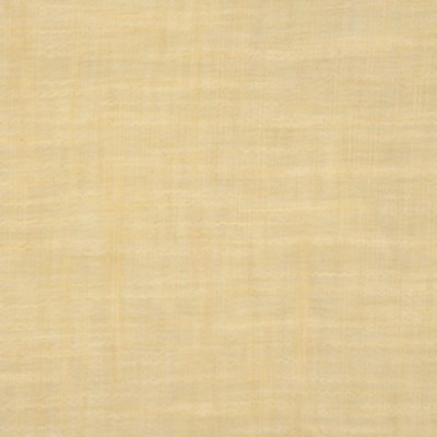 RM Coco Latitude DAFFODIL