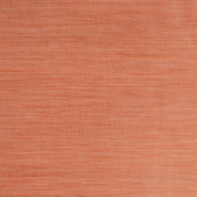 RM Coco Longitude PAPAYA