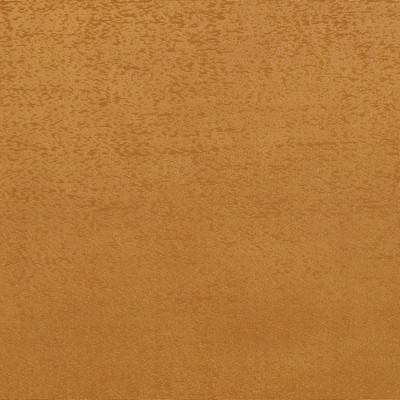 RM Coco Luminary GOLD