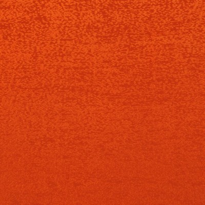 RM Coco Luminary TERRA