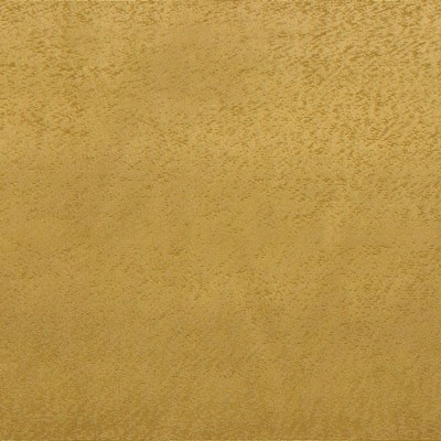 RM Coco Luminary TURTLE