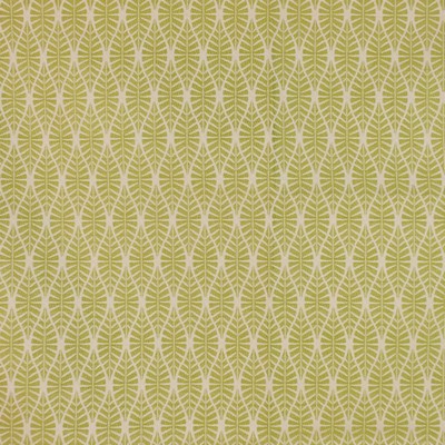 RM Coco Leafing Out Leaf