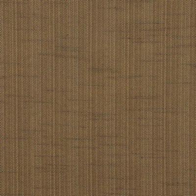 RM Coco Magnitude MOCHA