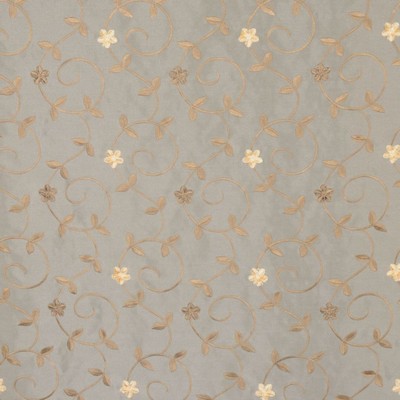 RM Coco Mikasa Driftwood