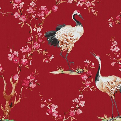 RM Coco Manchurian Maraschino