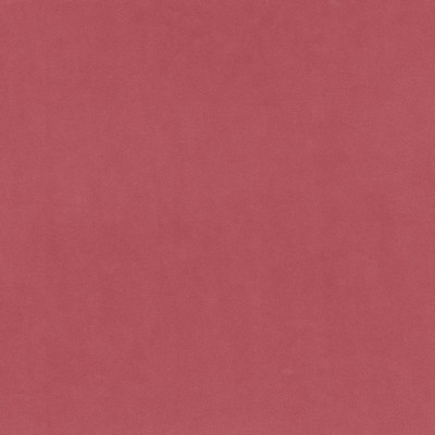 RM Coco Marquee Fr Velvet Cotton Candy