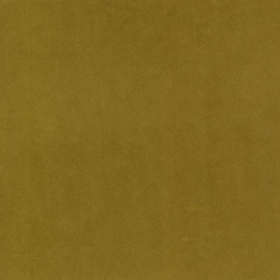 RM Coco Marquee Fr Velvet Gold Rush