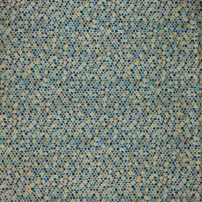 RM Coco Nemo Peacock